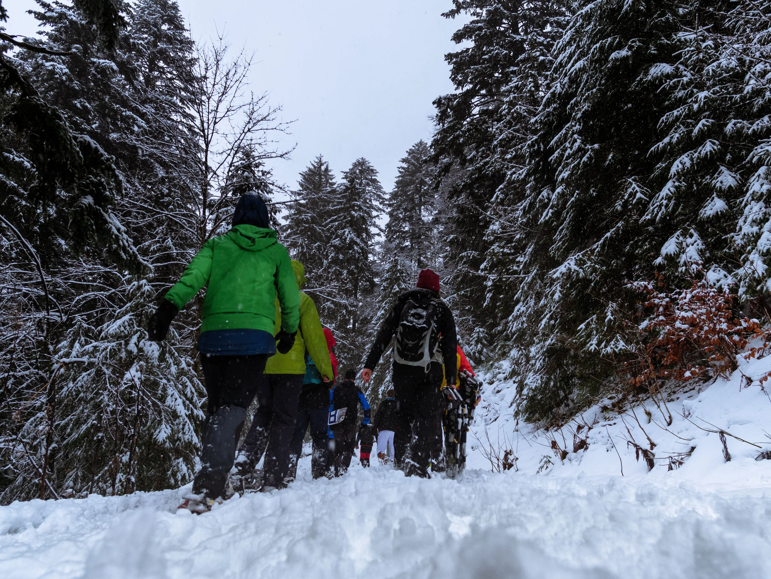 Schneeschuhwanderung.