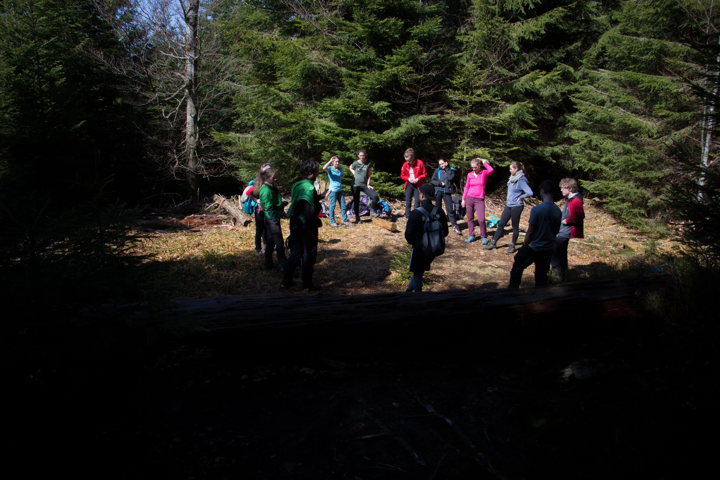 Young Explorers Akademie: Zeit zum gemeinsamen Lernen, ...