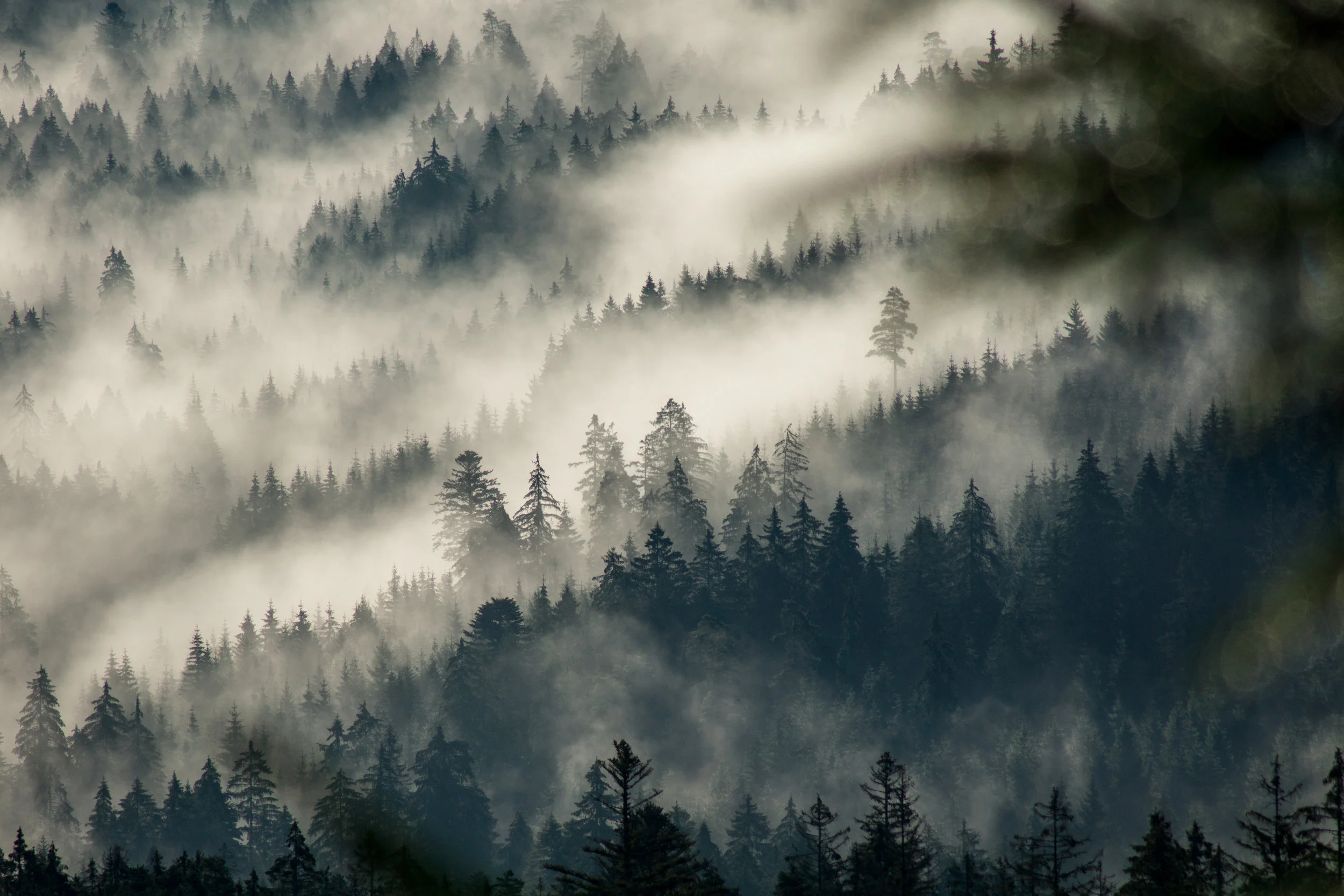 Nebel zieht an den Hängen vorbei.
