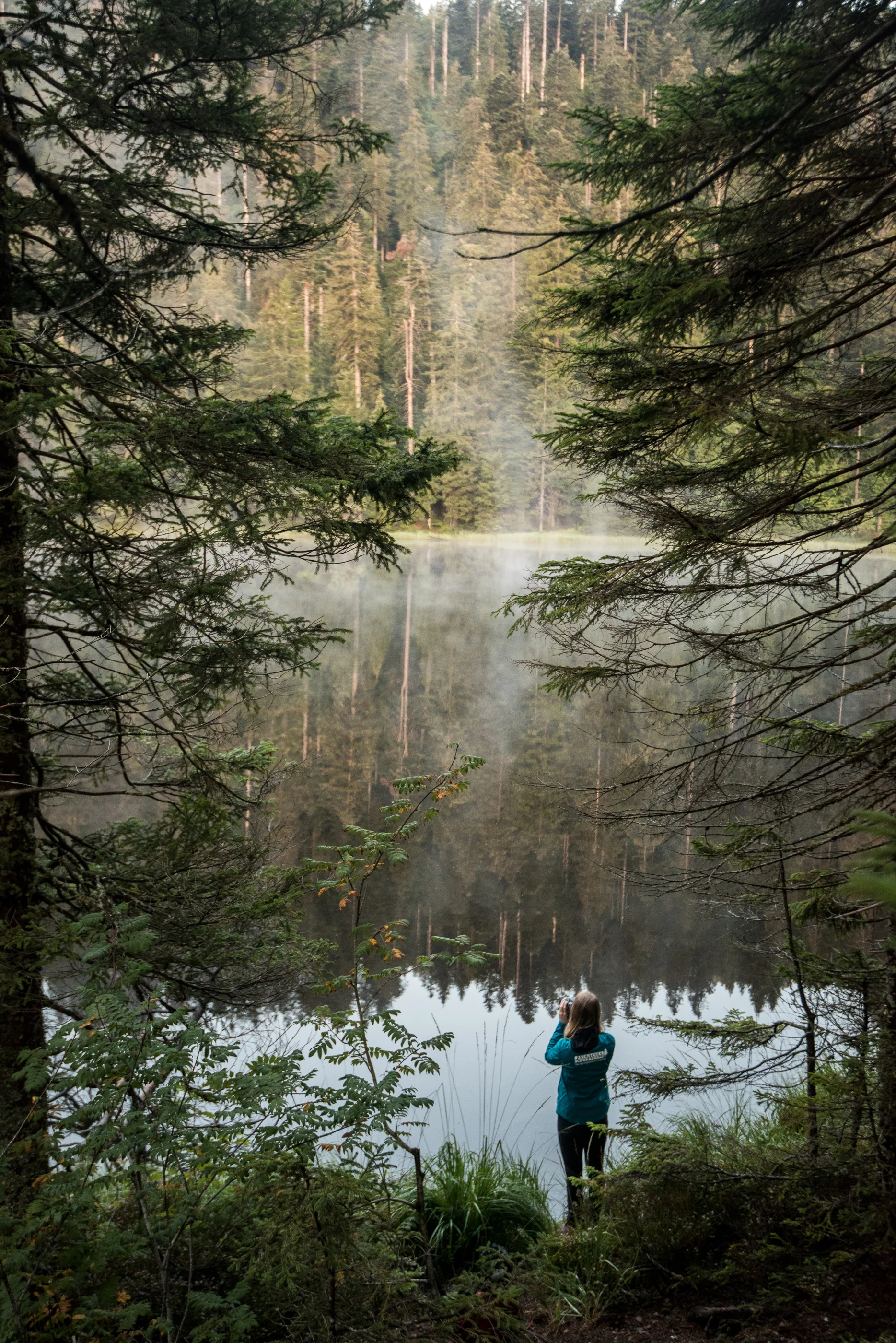 Fotografie am Wildsee.