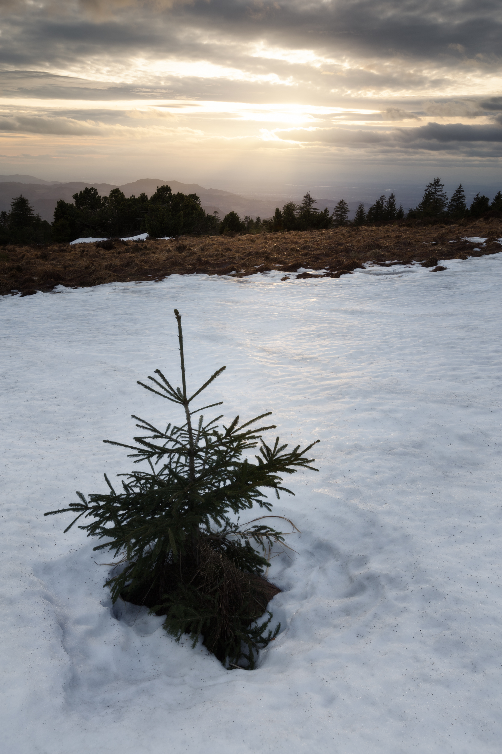 Die letzten Reste des Winters erkunden.
