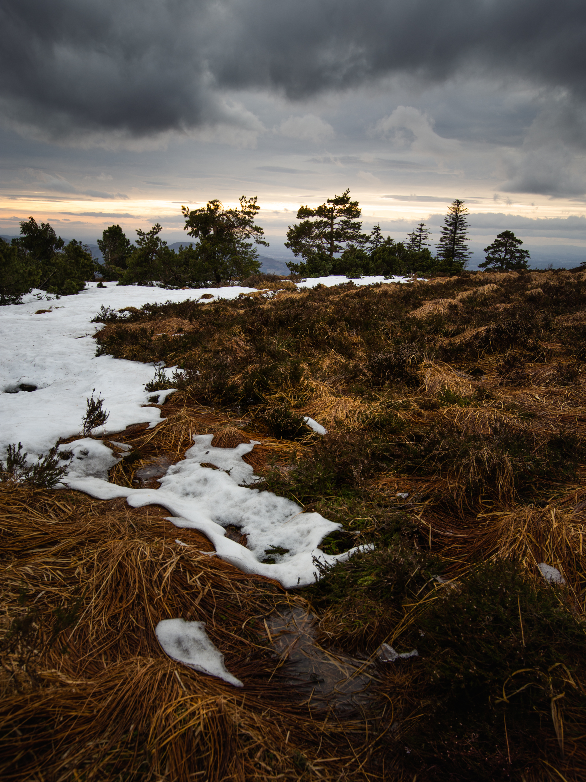Der Winter neigt sich dem Ende.
