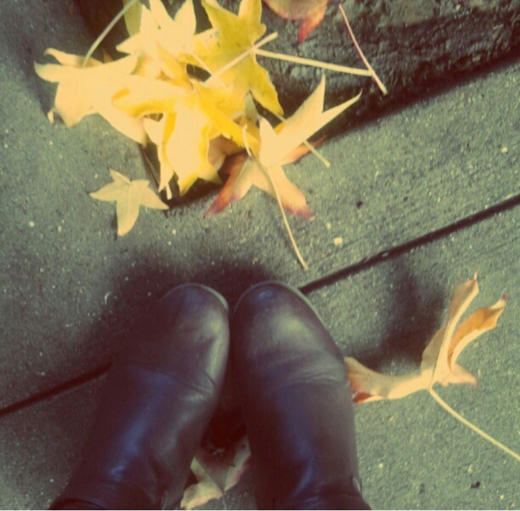 Mill Valley fall. 