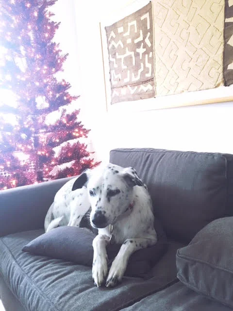 Deck The Halls