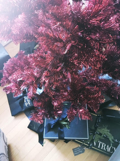 We definately have one under our tree this year!