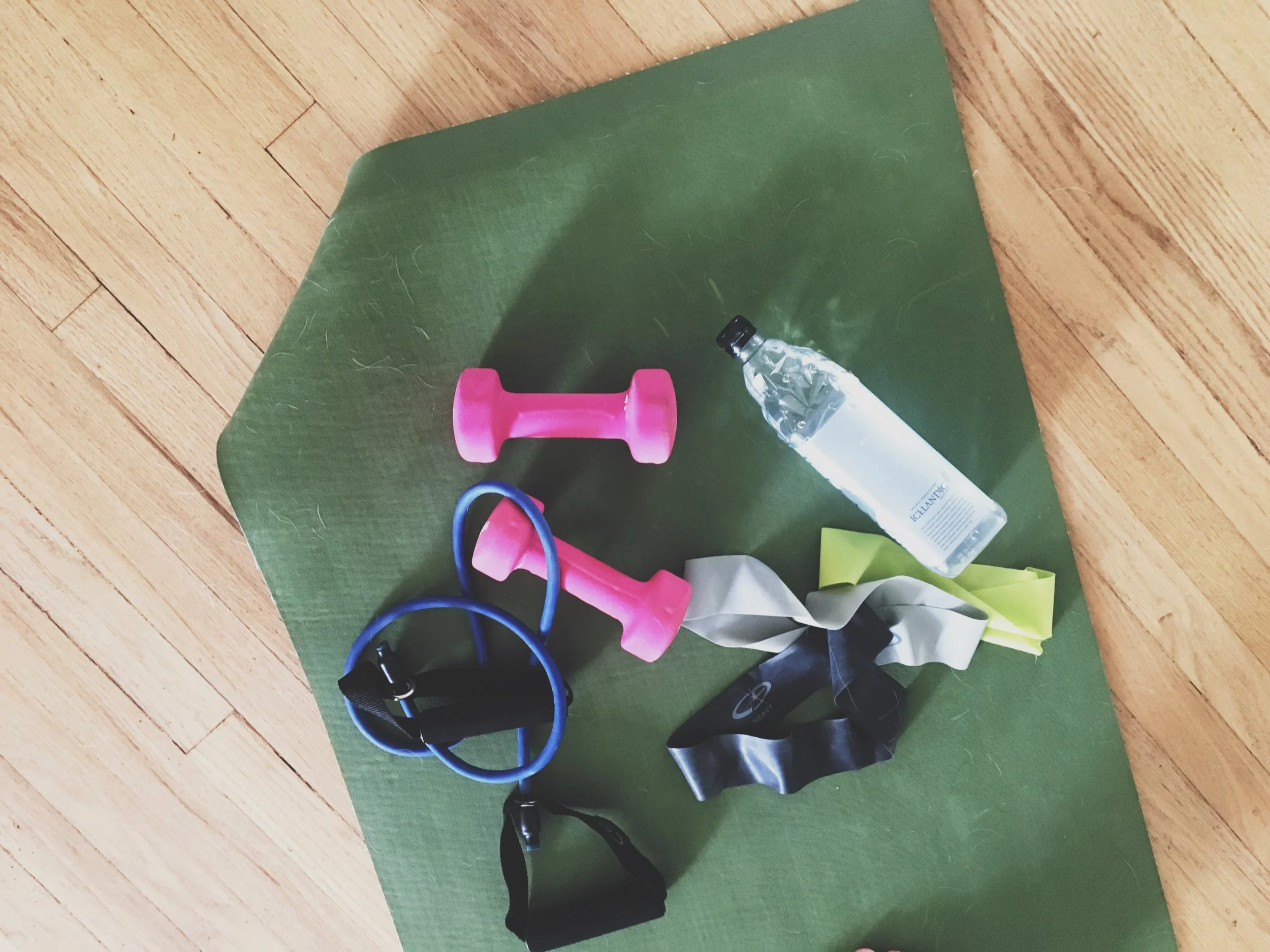 Nutrition to Weights Featuring Physiques By Monique//Shape Up Spring Challenge