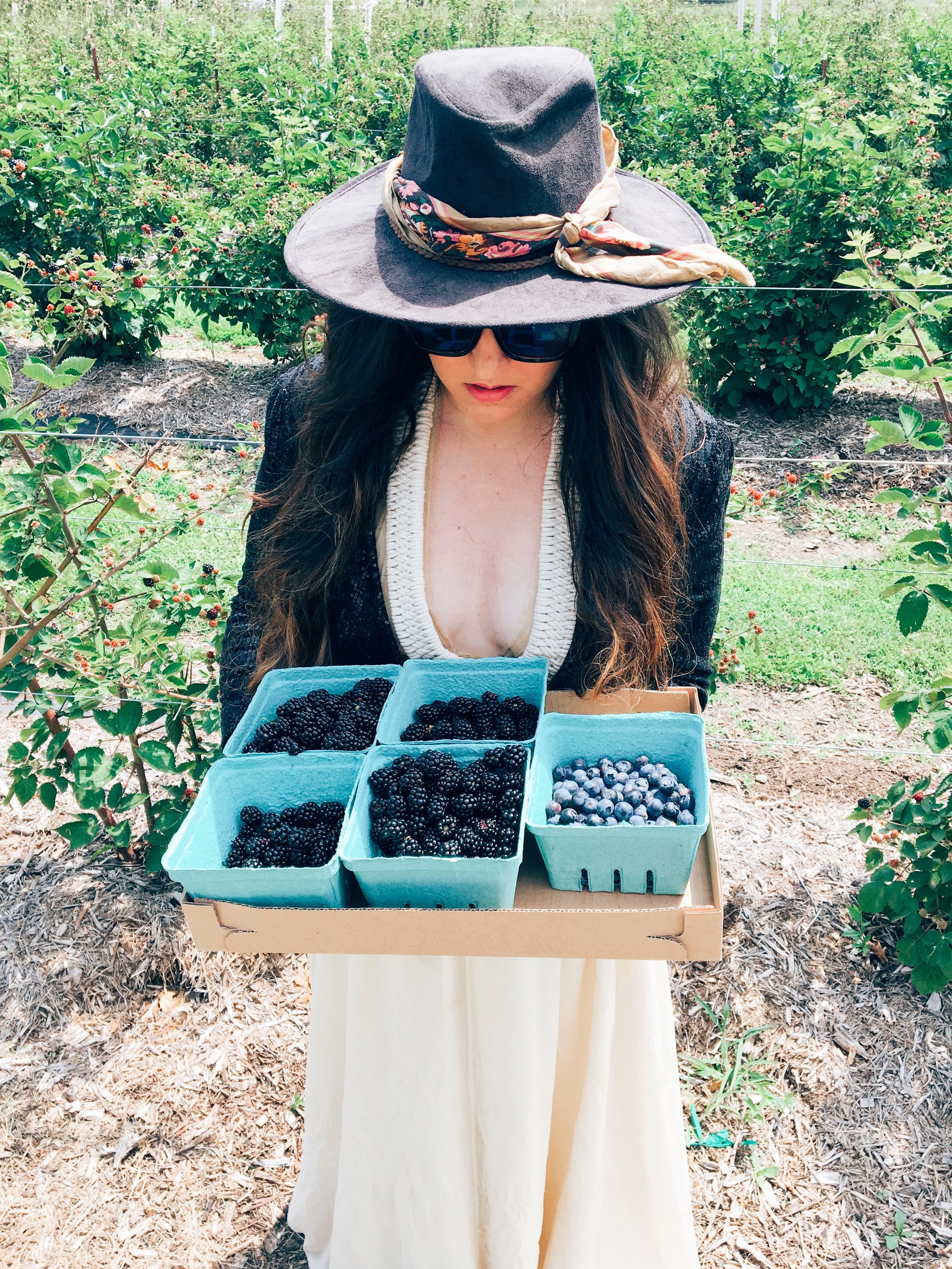 Summer Berry Picking In Zelma Rose