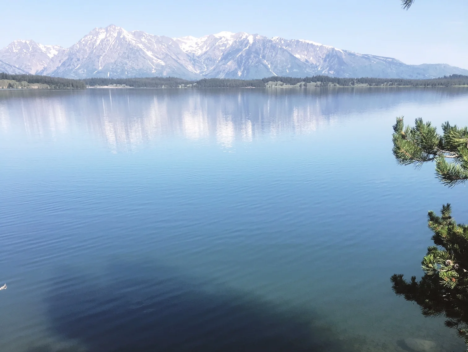 Grand Teton National Park &amp; Yellowstone Day Trips