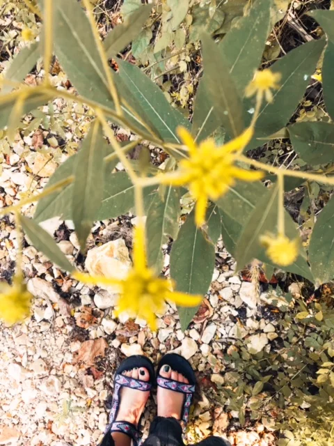 Amazing Day Trip in Tulsa//Spring Creek