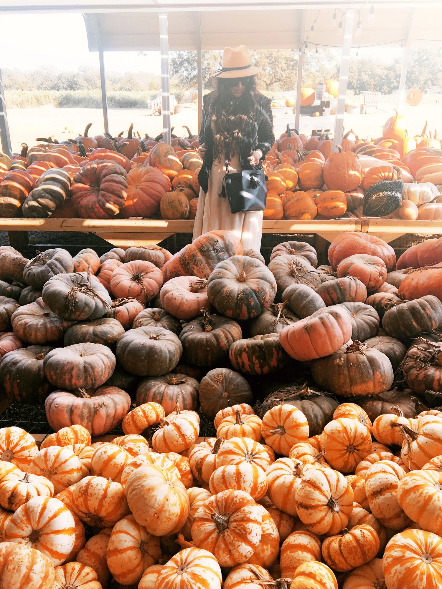 Two Must Visit Pumpkin Patches in Oklahoma For Day Trippers