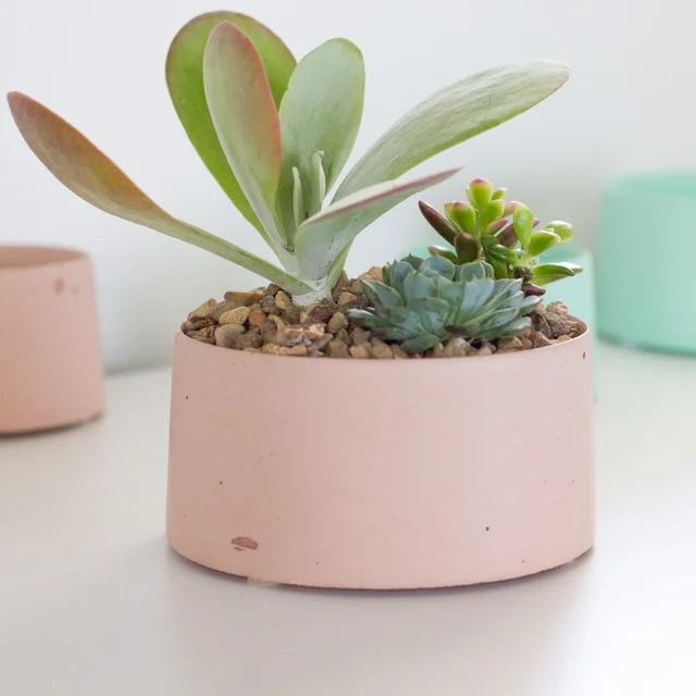 Concrete Vessel, Blush Round_01_Large.jpg