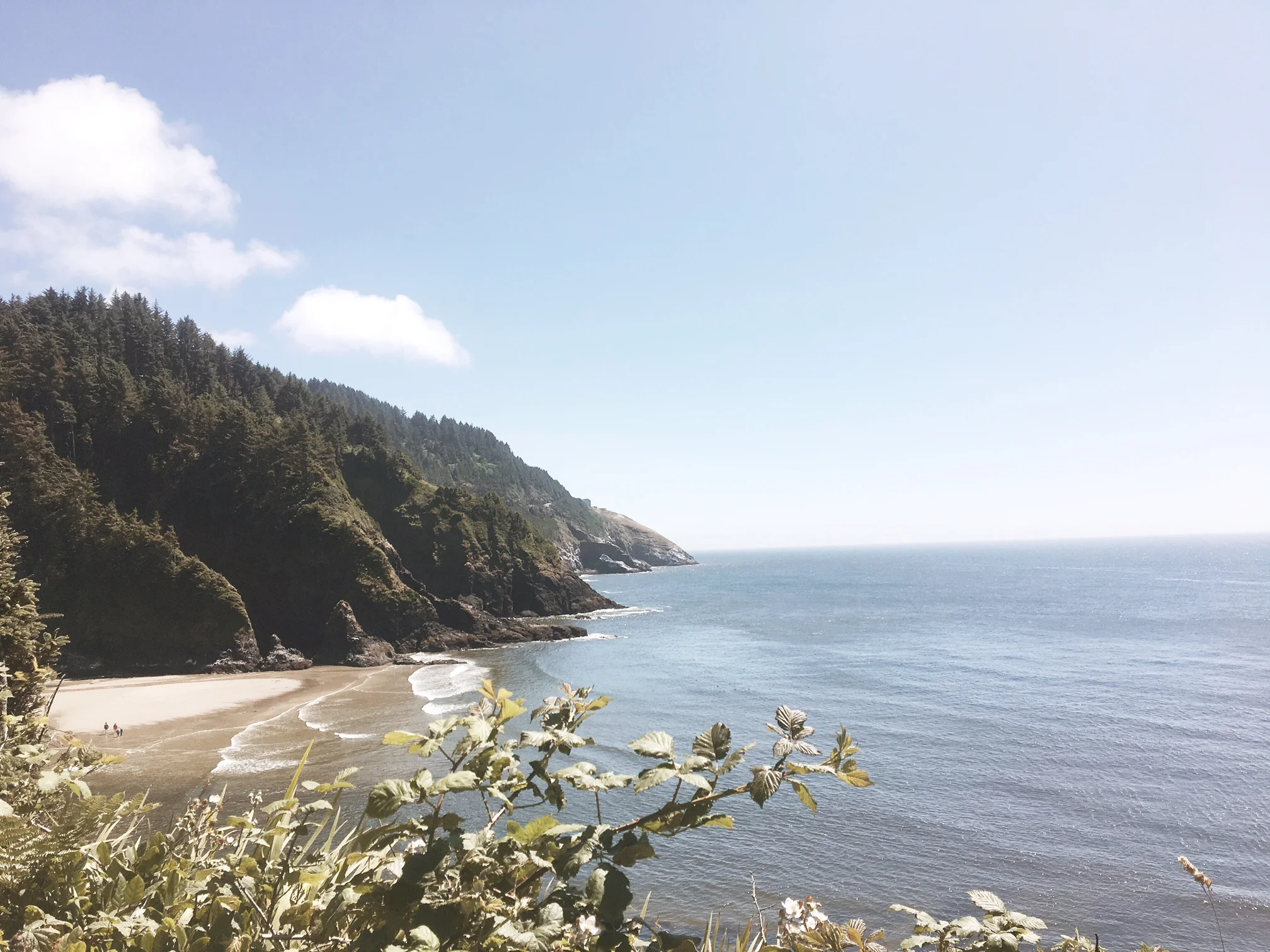 Traveling The Oregon Coast On The 101 Until You Meet California
