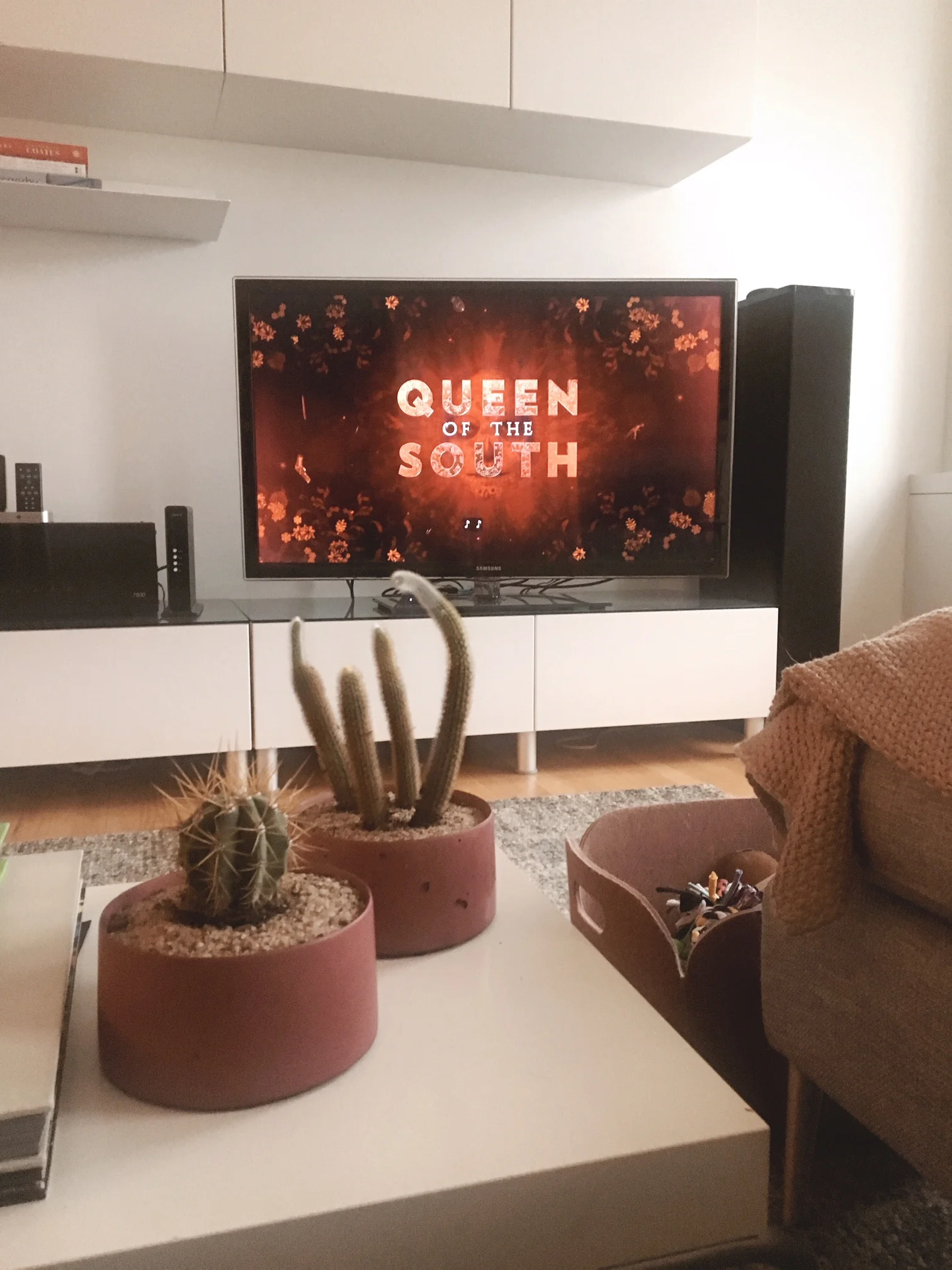 Conquering Oklahoma City In 48 Hours With A Teenager //How We Made It Reign 