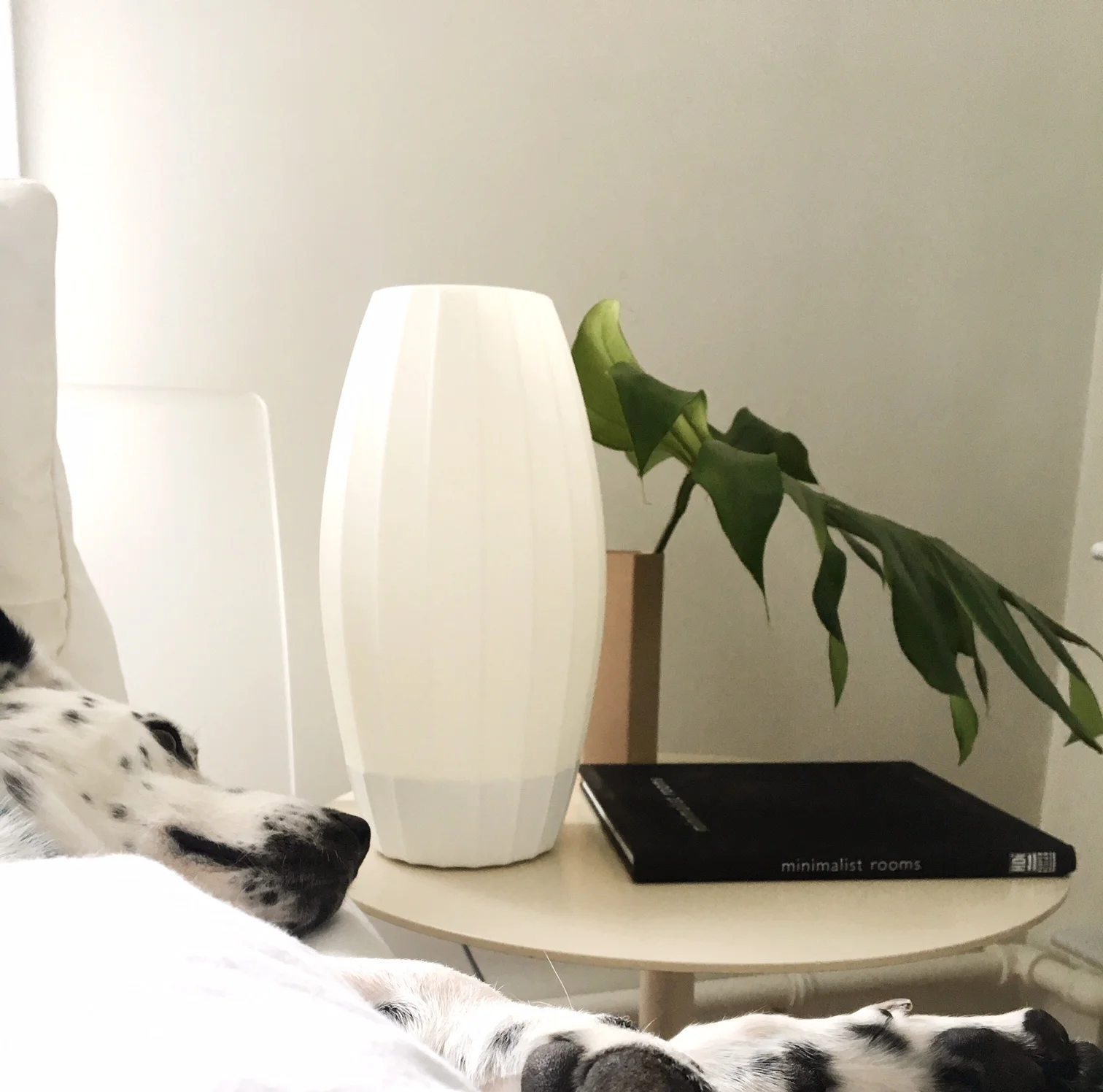 affordable modern lighting