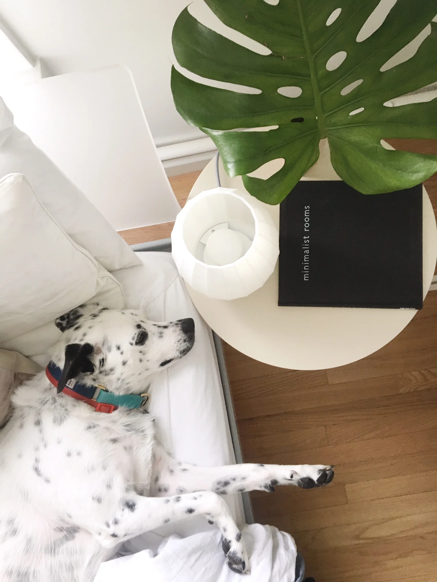 Affordable Modern Lighting From Gantri: Meet Zeppelin