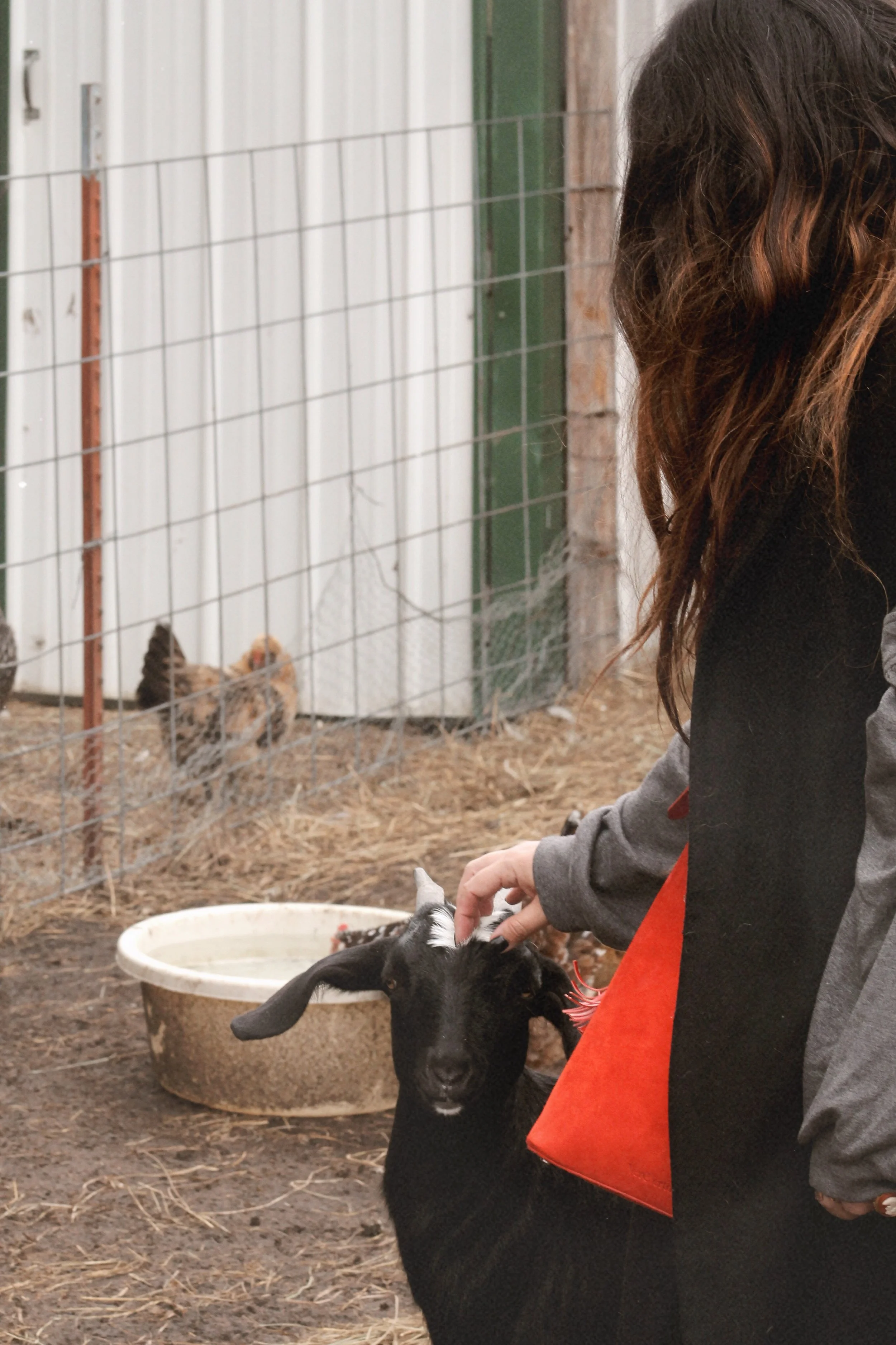 Farm sweet farm Oklahoma 1.JPG