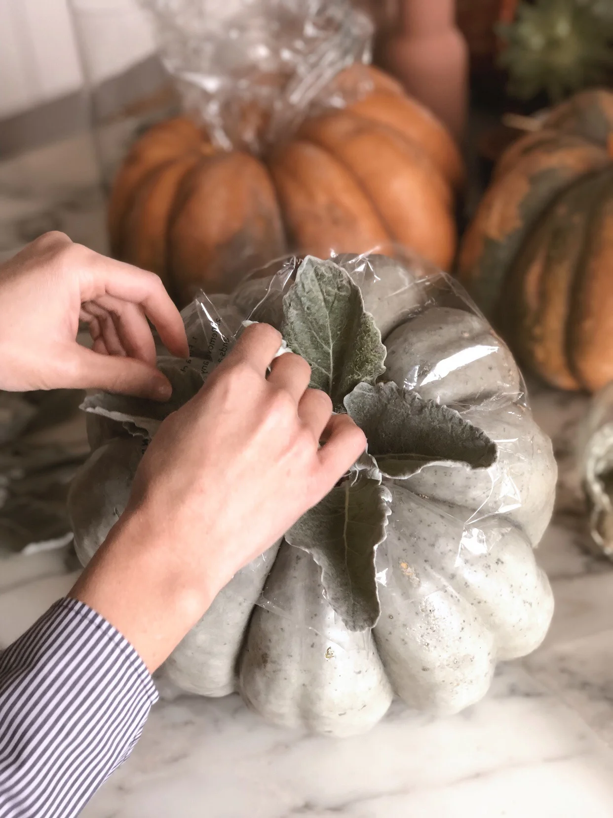 DIY modern Pumpkin Centerpiece 8.JPG