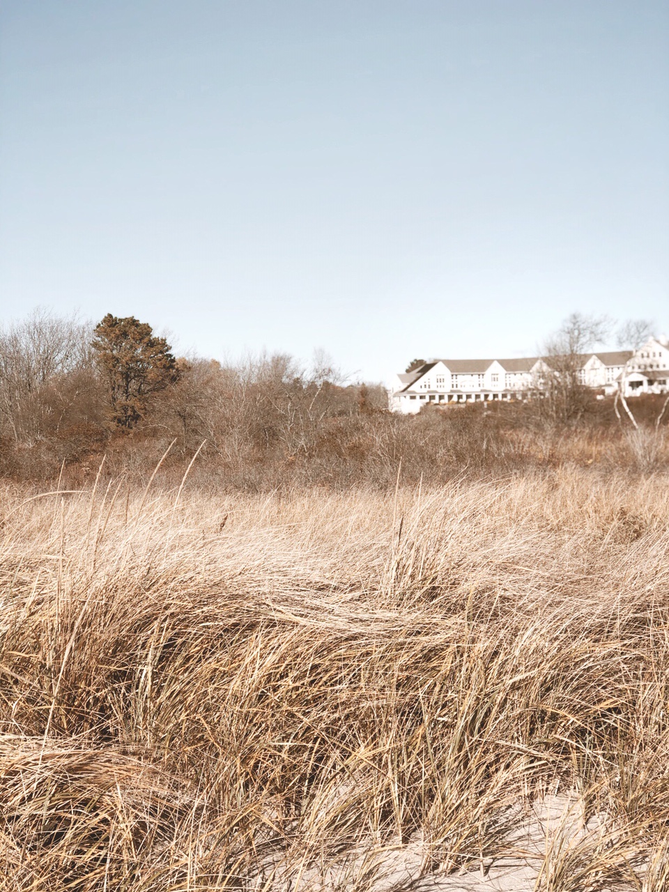 INN BY THE SEA: A LUXURY RETREAT IN CAPE ELIZABETH, MAINE