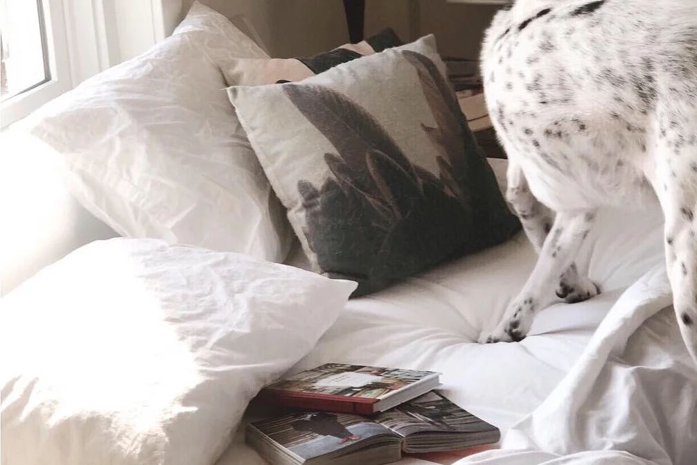 Comfy Luxury // Luxe Cotton Sheets