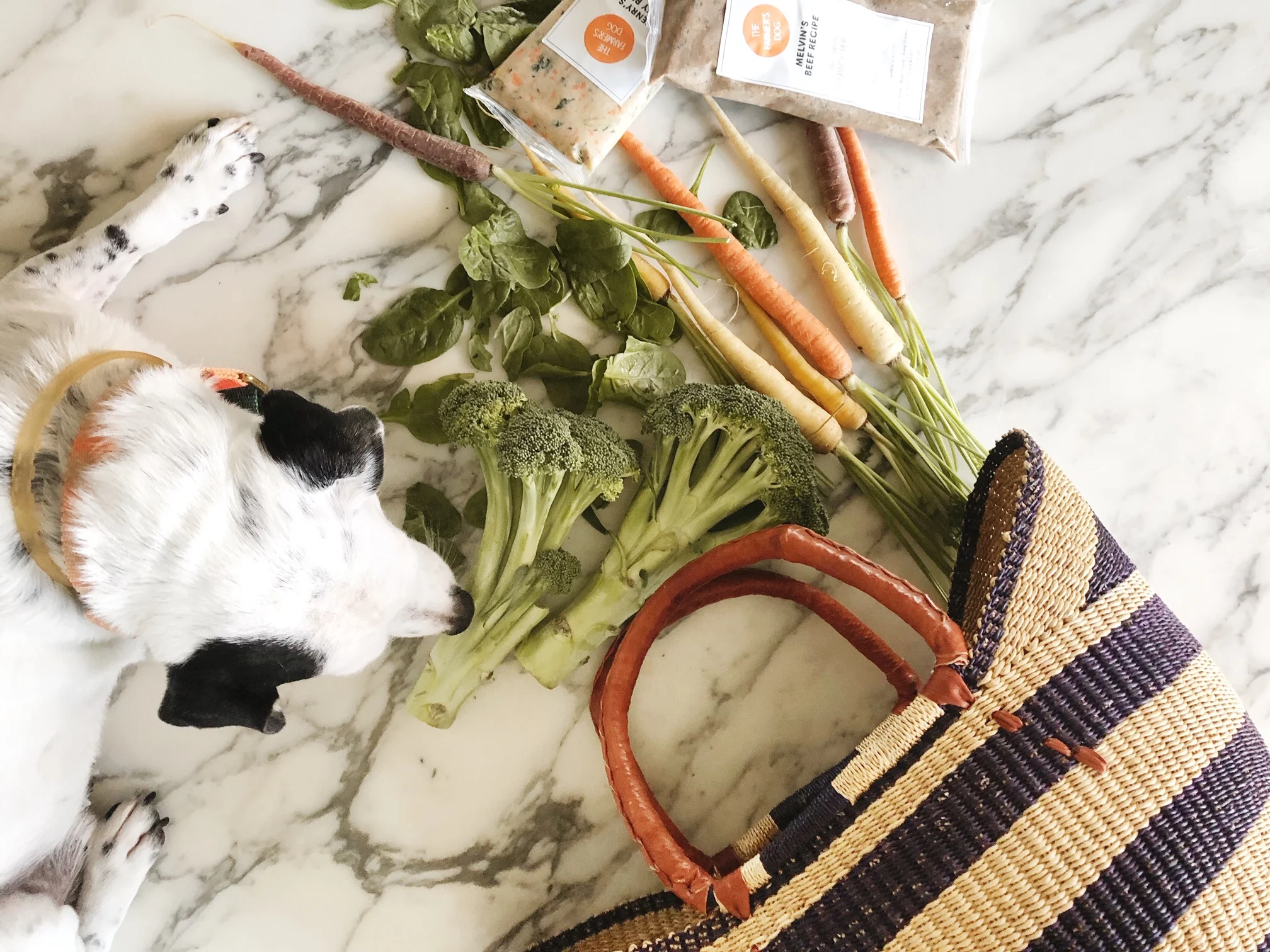 Celebrating National Make A Dog's Day With The Farmer's Dog