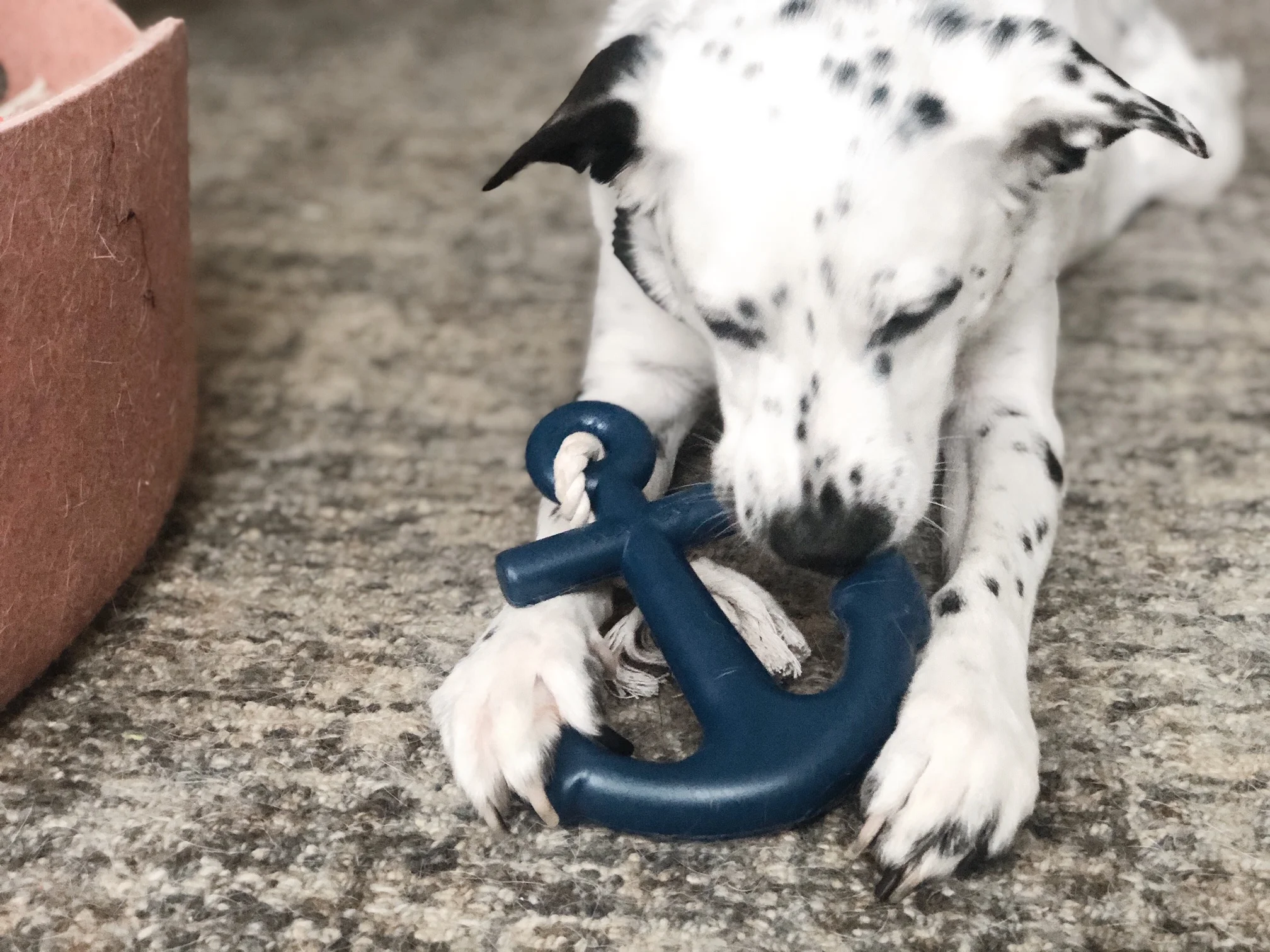 Stylish and Design-driven, Happy-Centric Chew Toys For Your Pooch