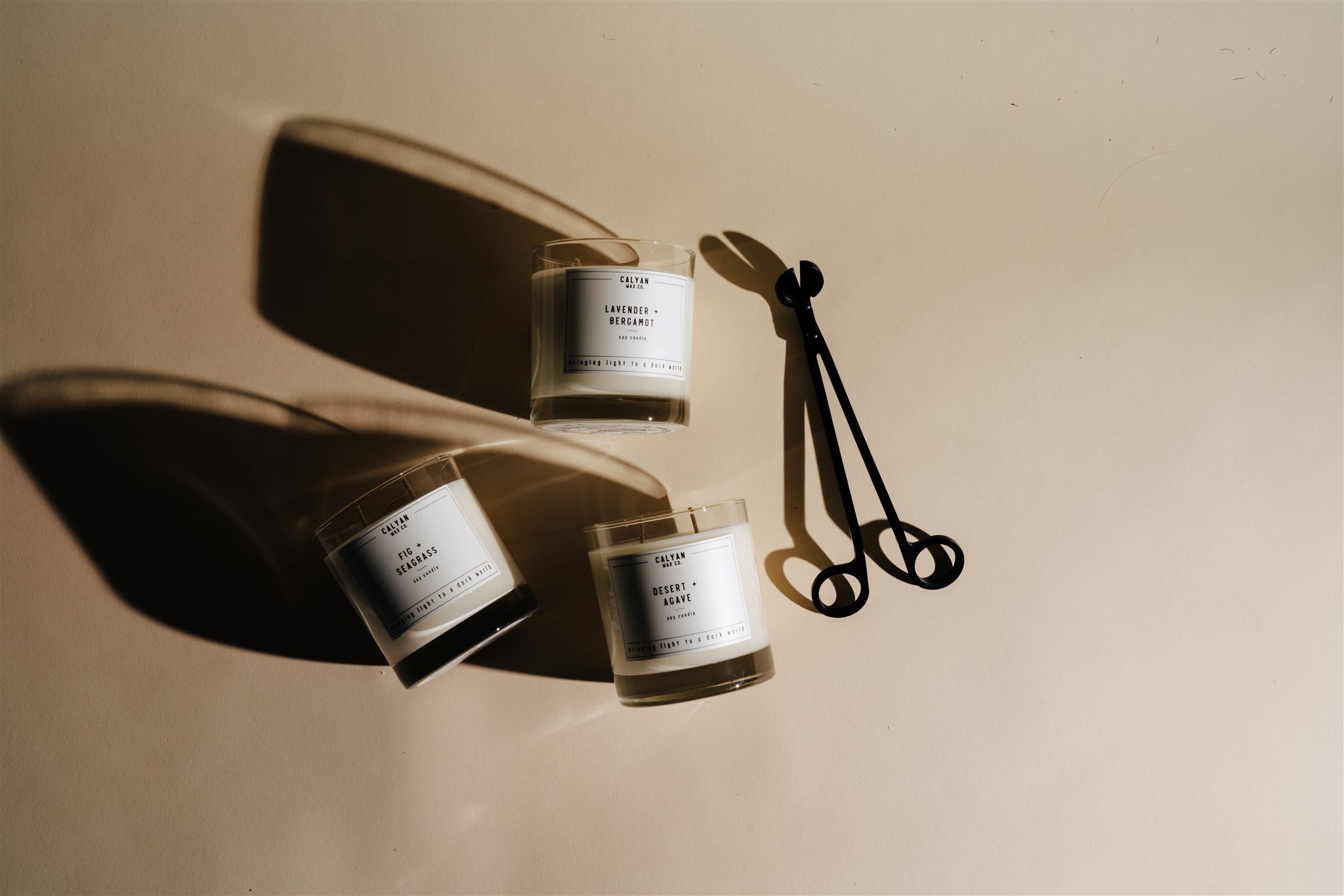 Soy Candle Fig + Seagrass Tin | Calyan Wax Co.