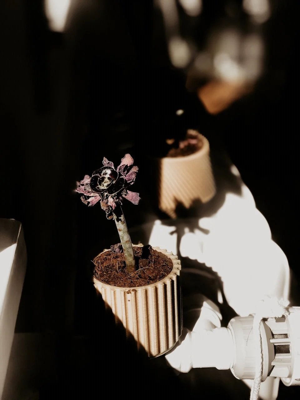 Unique Sustainable Products Made In France
