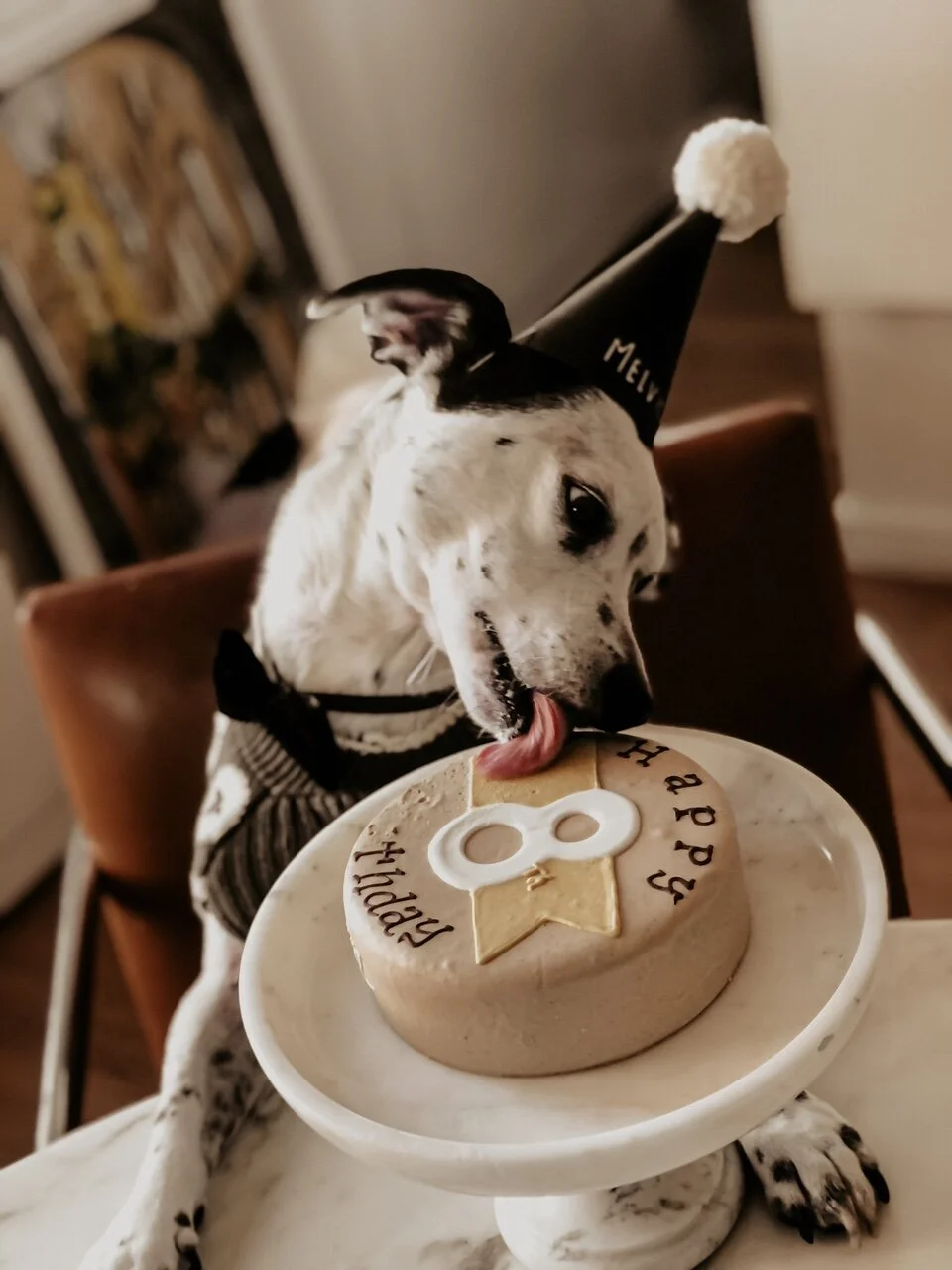 Melvin is 8! 