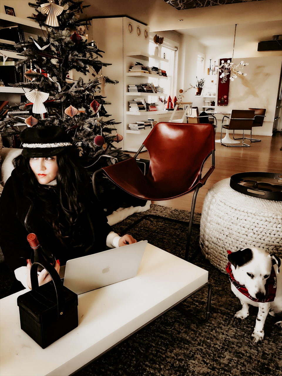 Bon-Vivants Wine Club Holiday Virtual Party With AF Chicago - French Wine and Cheese Pairings 