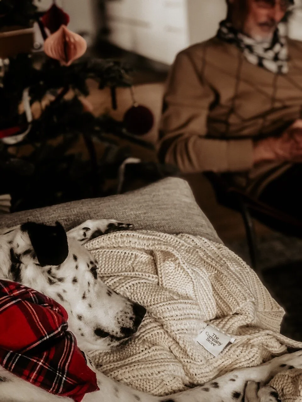 Cozy Holiday With The Company Store - Holiday Movie List 2020