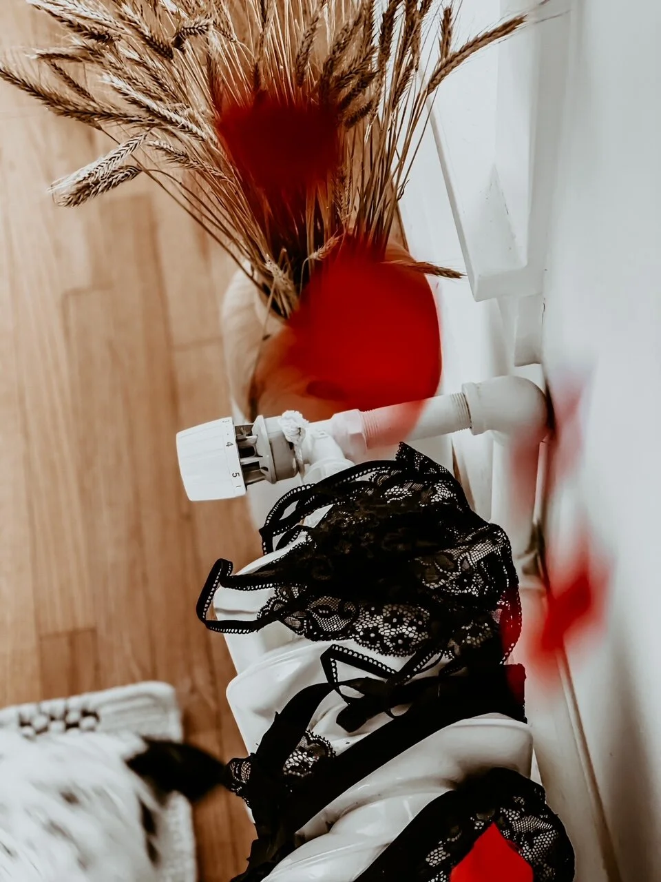 Four Affordable Lingerie Brands That Actually Look VERY Expensive