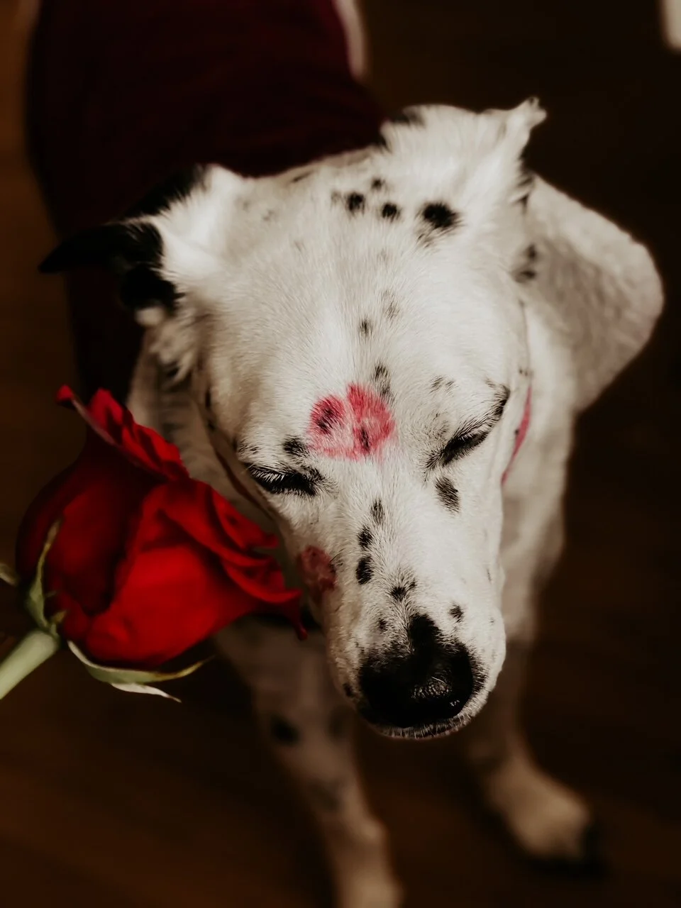 Scenes From Valentine's Day