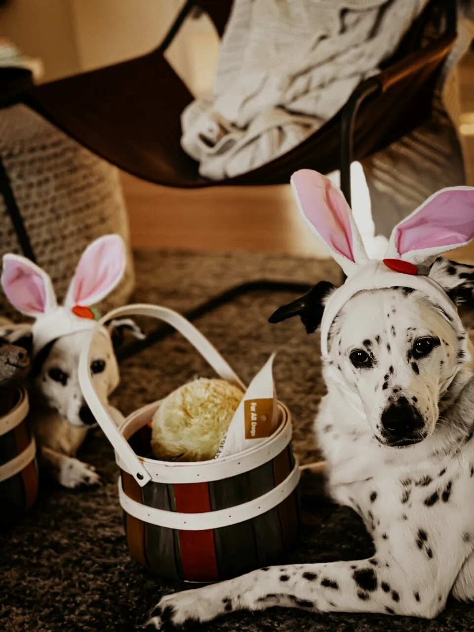 Scenes From Easter