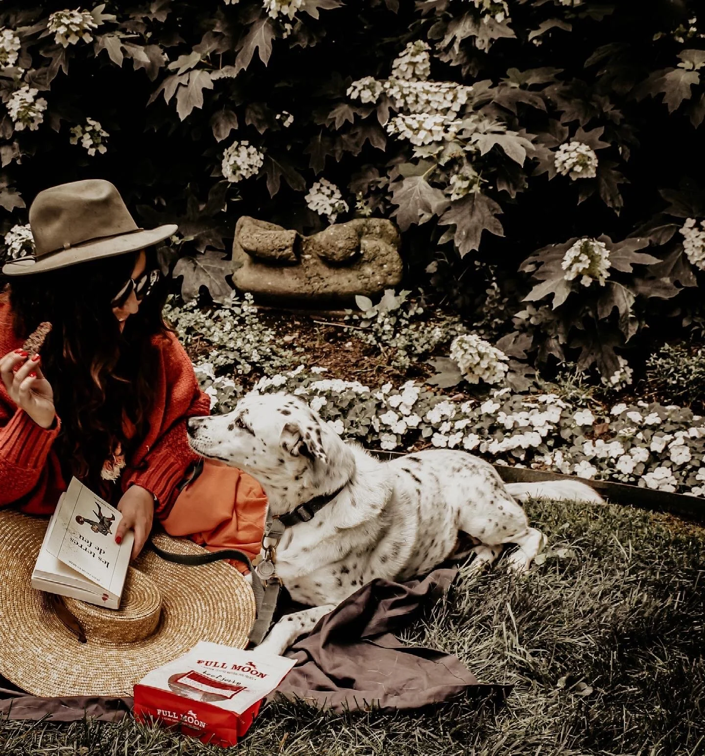 100% Human Grade, All Natural Dog Treats Made in the U.S.A. 