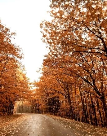 Scenic Drive Traveling Maine's Coast To Boston In The Fall// 7 day Maine Itinerary