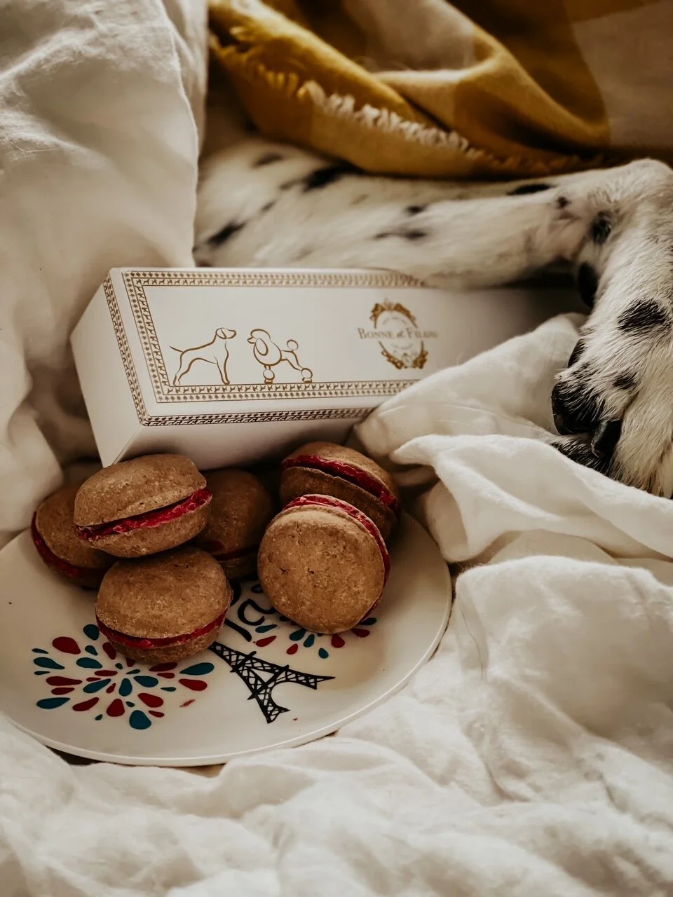 Healthy Handmade Dog Macarons