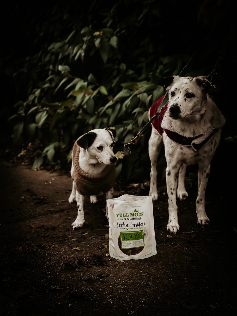 Grain Free Treats For Pups