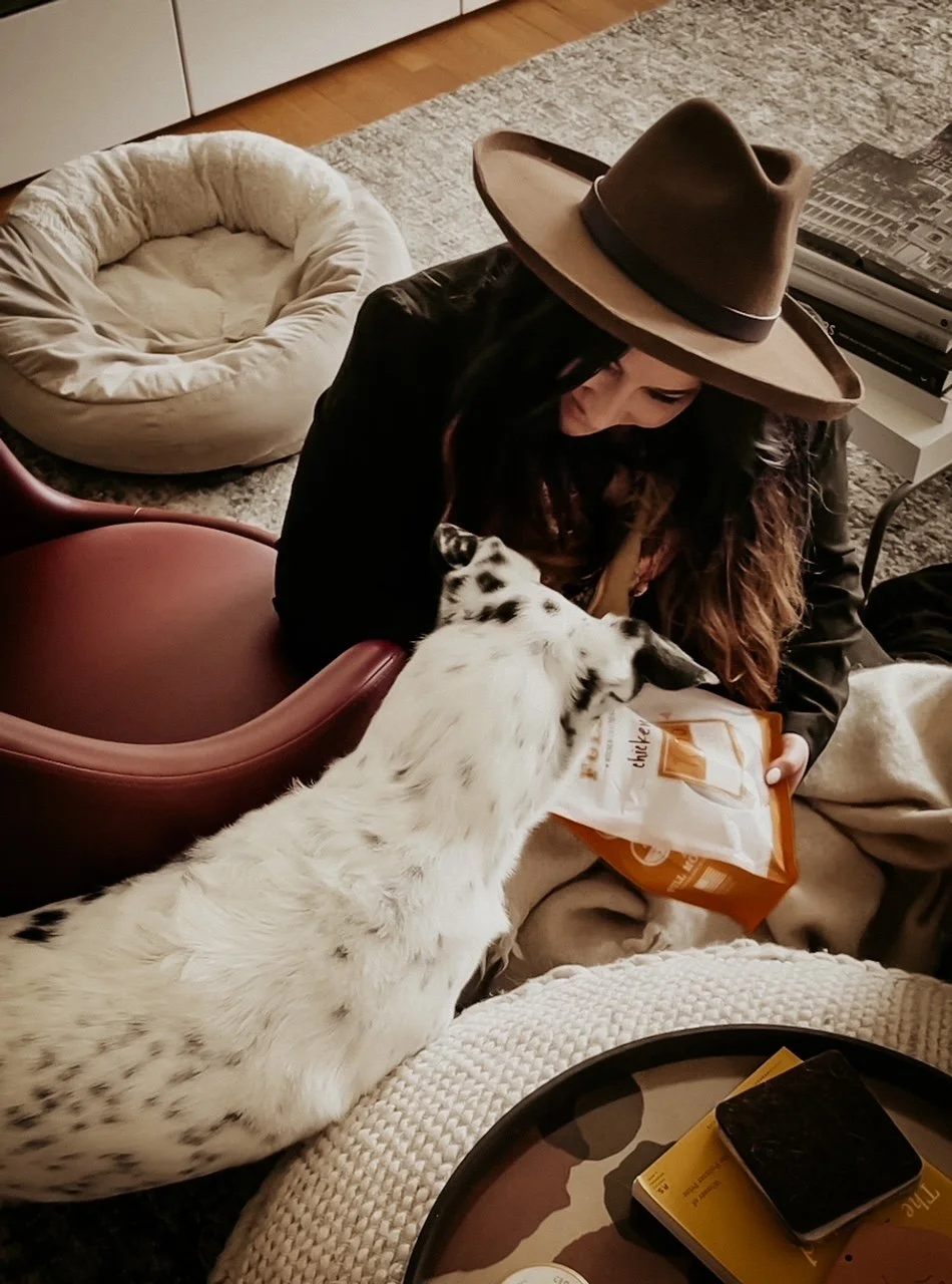 Healthy Treats For Fido Made In The USA
