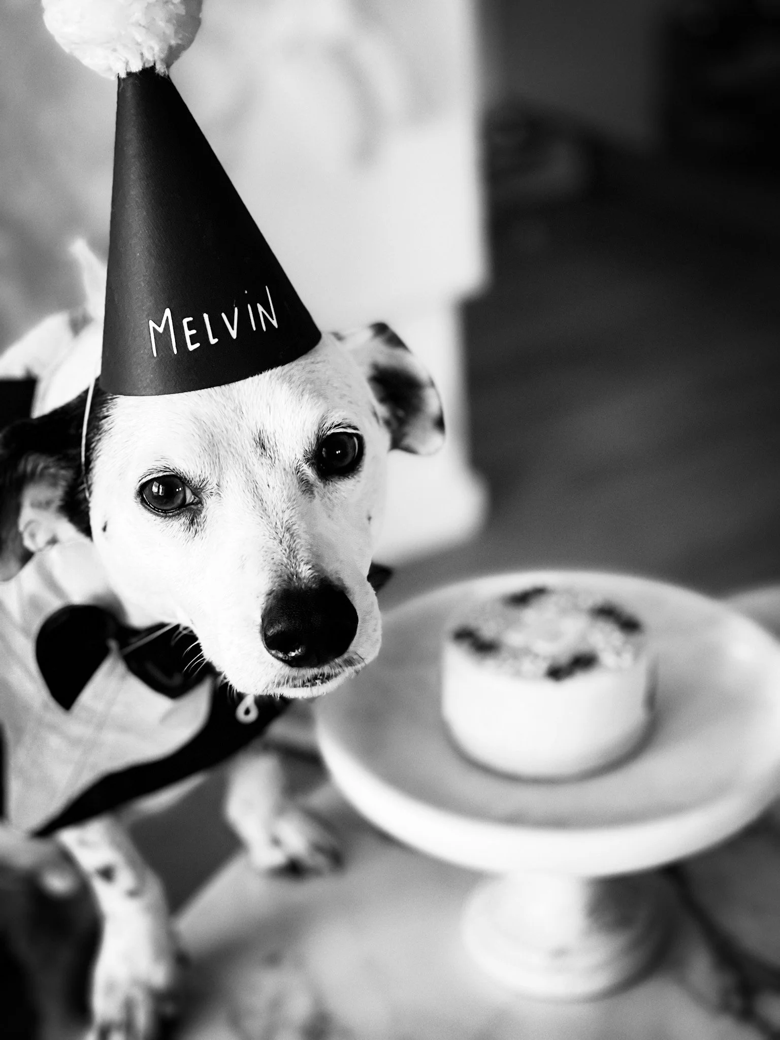 Melvin Turns 10