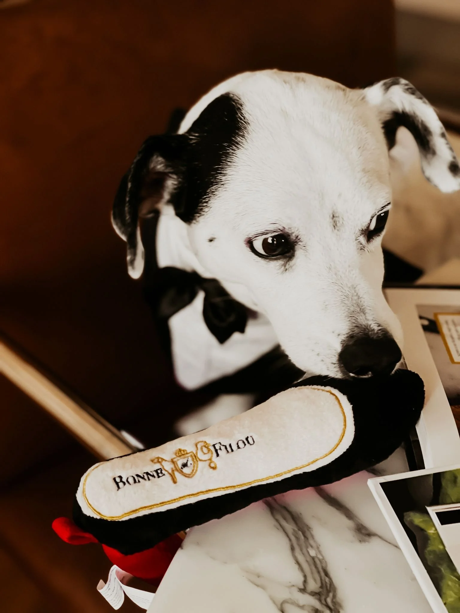 Jouet En Peluche -Chaussure Á Talon