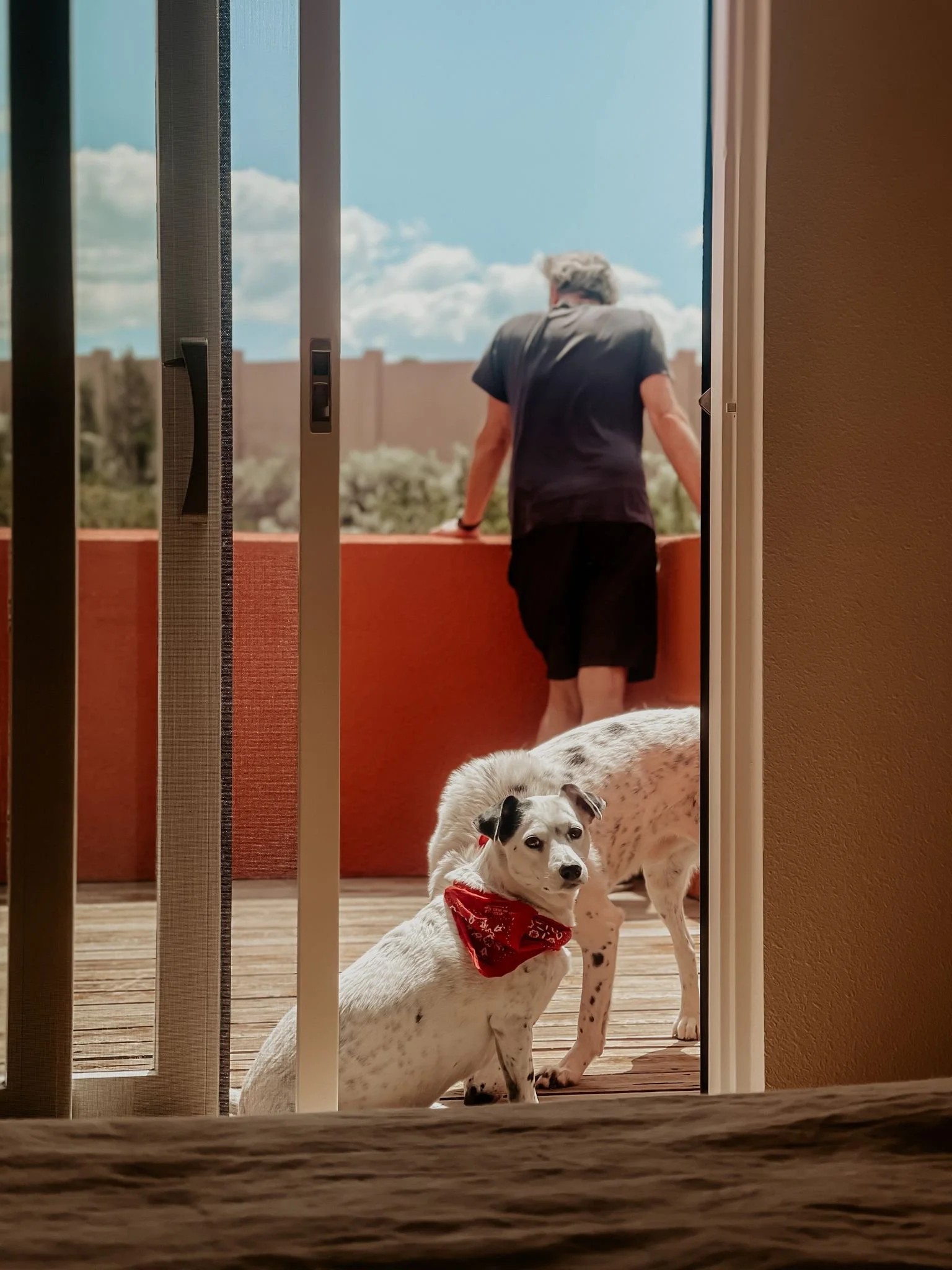 Getting Settled In The High Desert