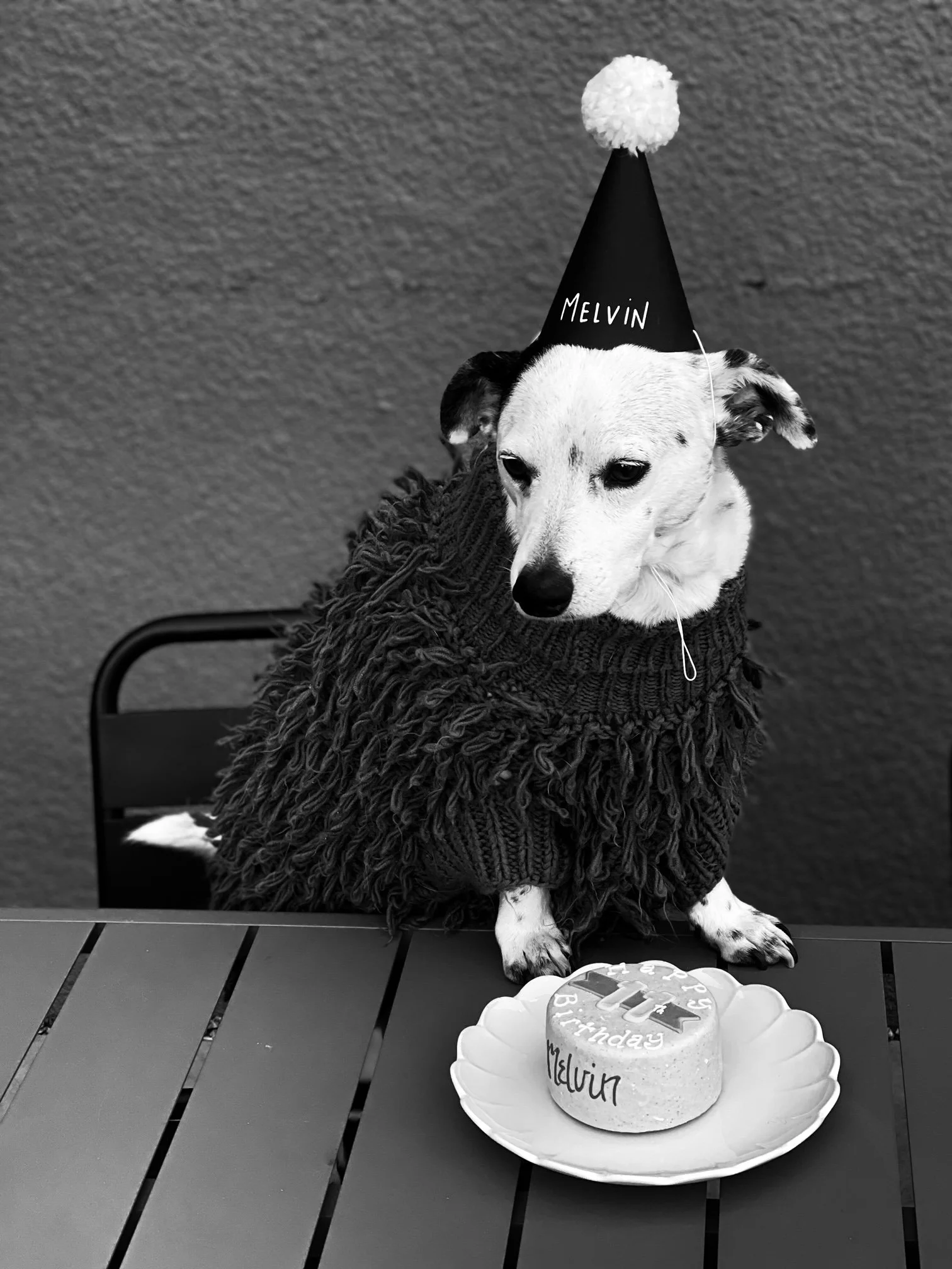 Melvin Turns 11