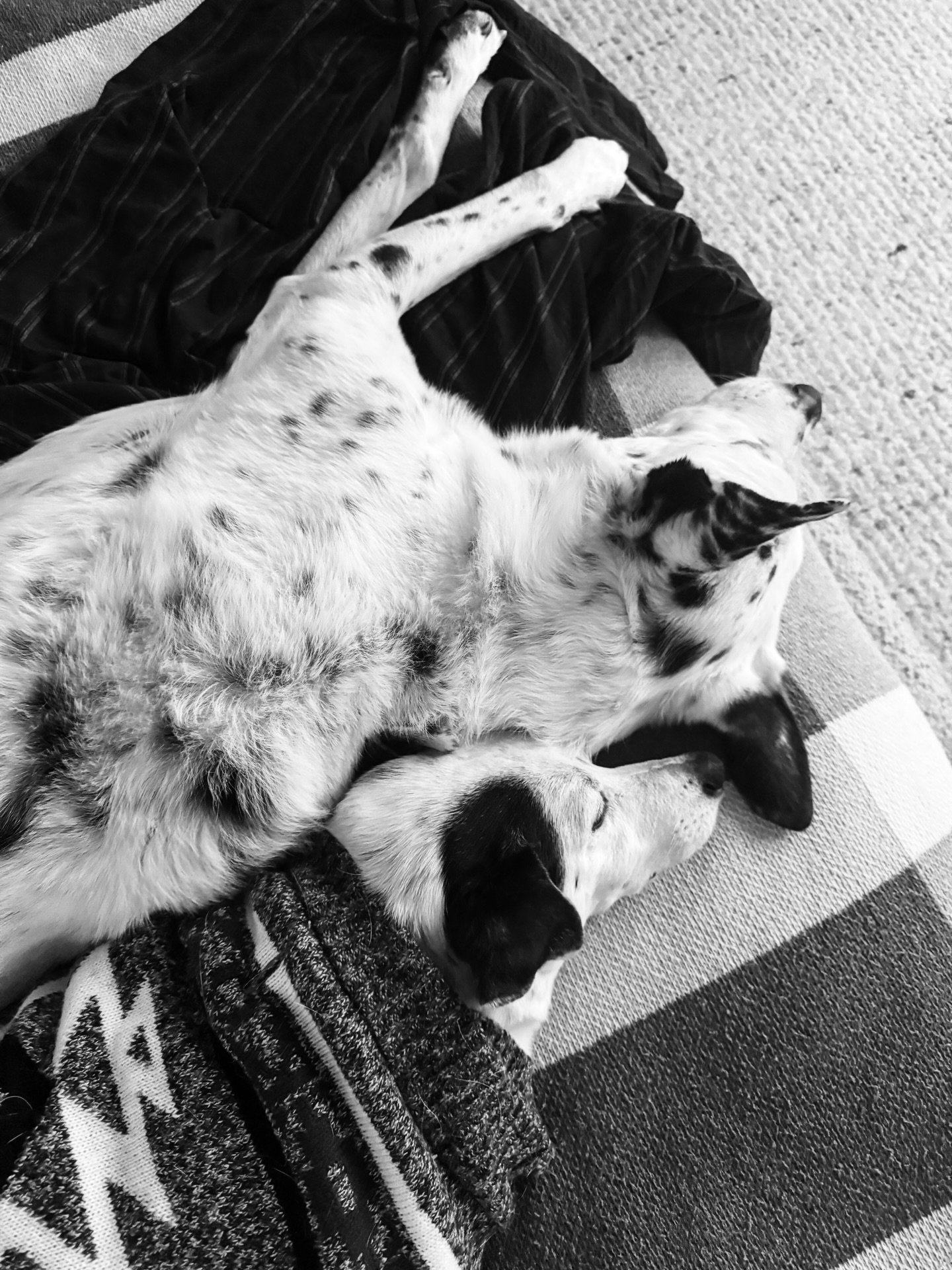 Life lately: the soft days, the hard days, the unexpected ones &mdash; all of them reminding me to stay present, stay grateful, and stay curious.