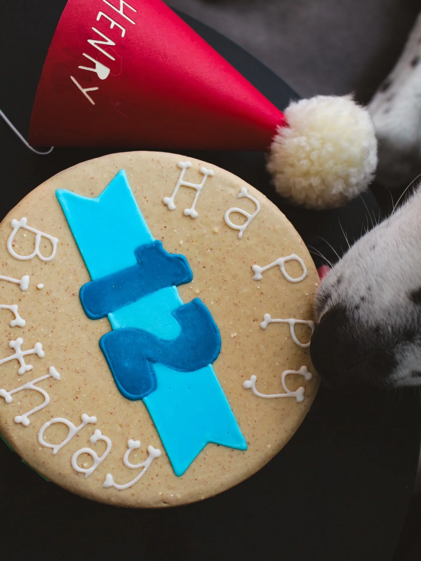 Guess who turned 12 today?

Henry did&mdash;still handsome, still in charge, still wondering why everyone is so emotional about it.
Birthday hat tolerated. Cake admired. Wishes unshared.

Twelve years of loyalty, side-eye, and being very, very loved.