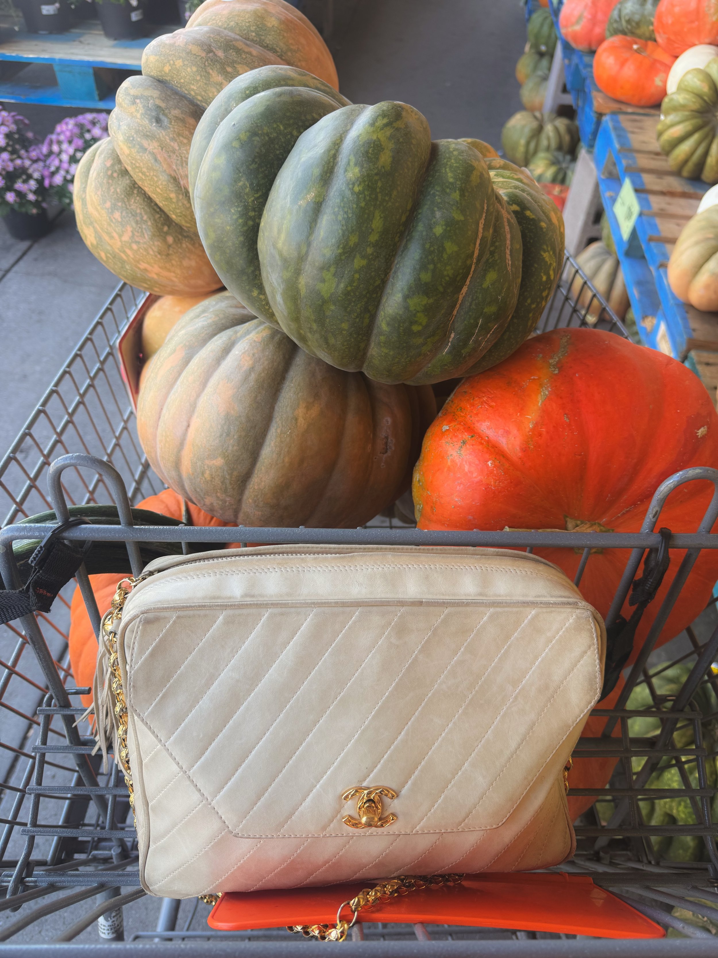 &ldquo;You look happier.&rdquo;

Thanks, it&rsquo;s pumpkin time and bean season. 🎃🫘

I&rsquo;ve reached the portion of the year where I buy an unreasonable number of pumpkins, arrange them like they&rsquo;re paying rent, make a pot of beans, and s