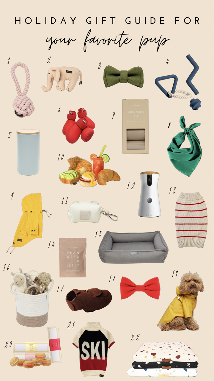 Gift Ideas For Your Favorite Pup -2021 — Go French Yourself