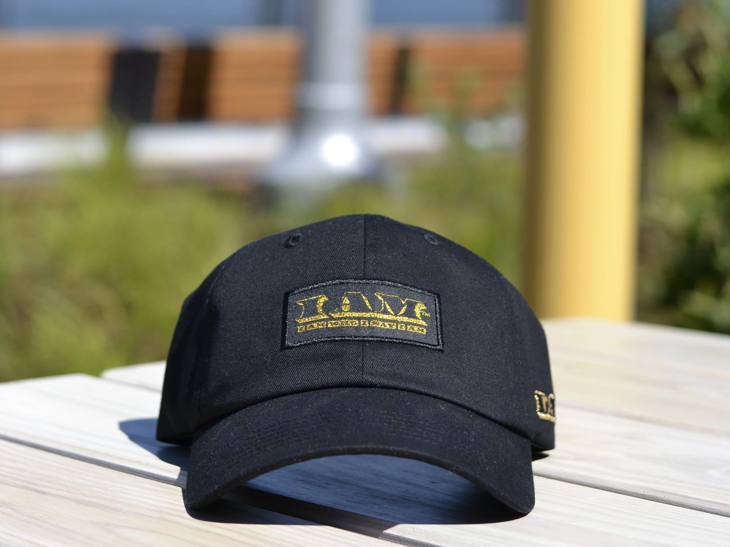  📸 by @angelisariosphotography   I AM WHO I SAY I AM® LLC  is a registered Trademark, All rights reserved. 