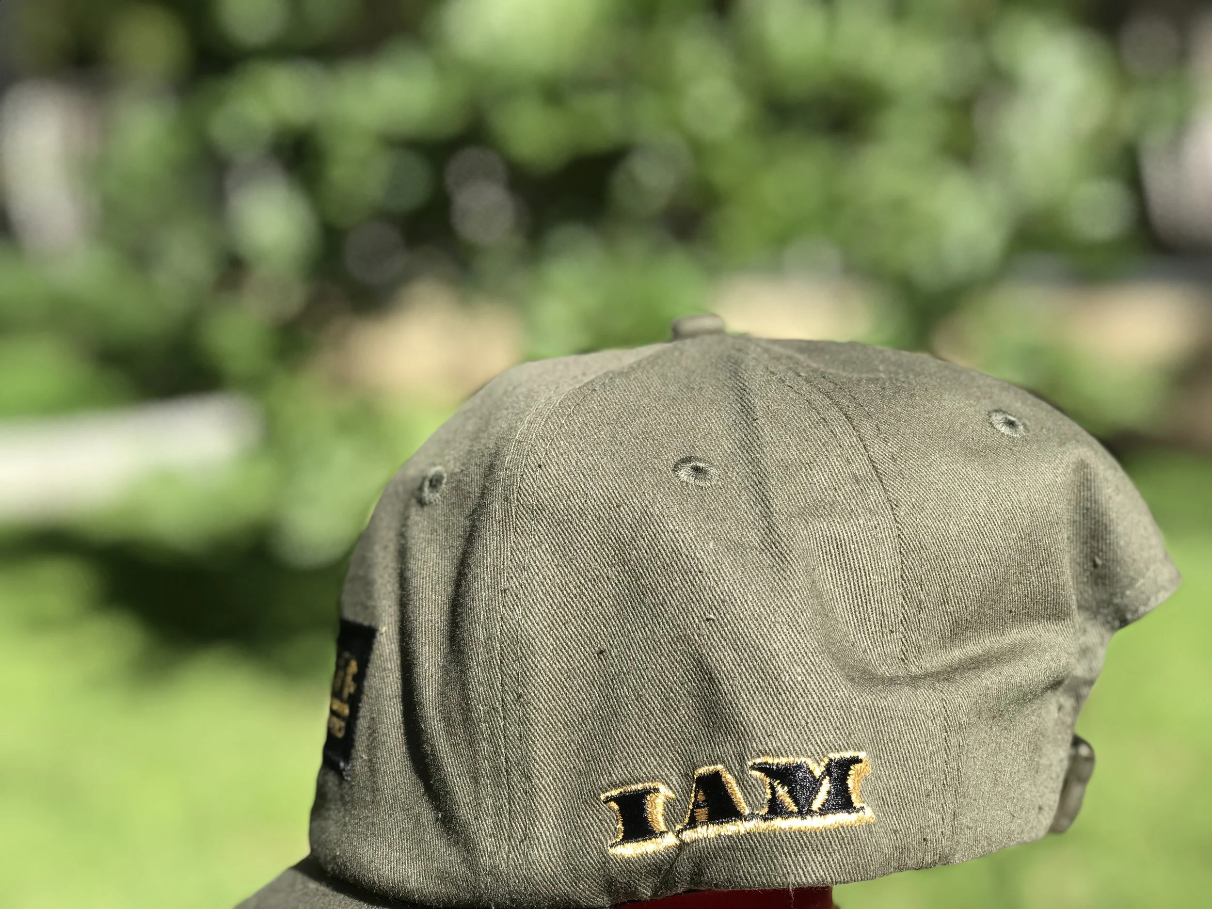   I AM WHO I SAY I AM® LLC  is a registered Trademark, All rights reserved. 