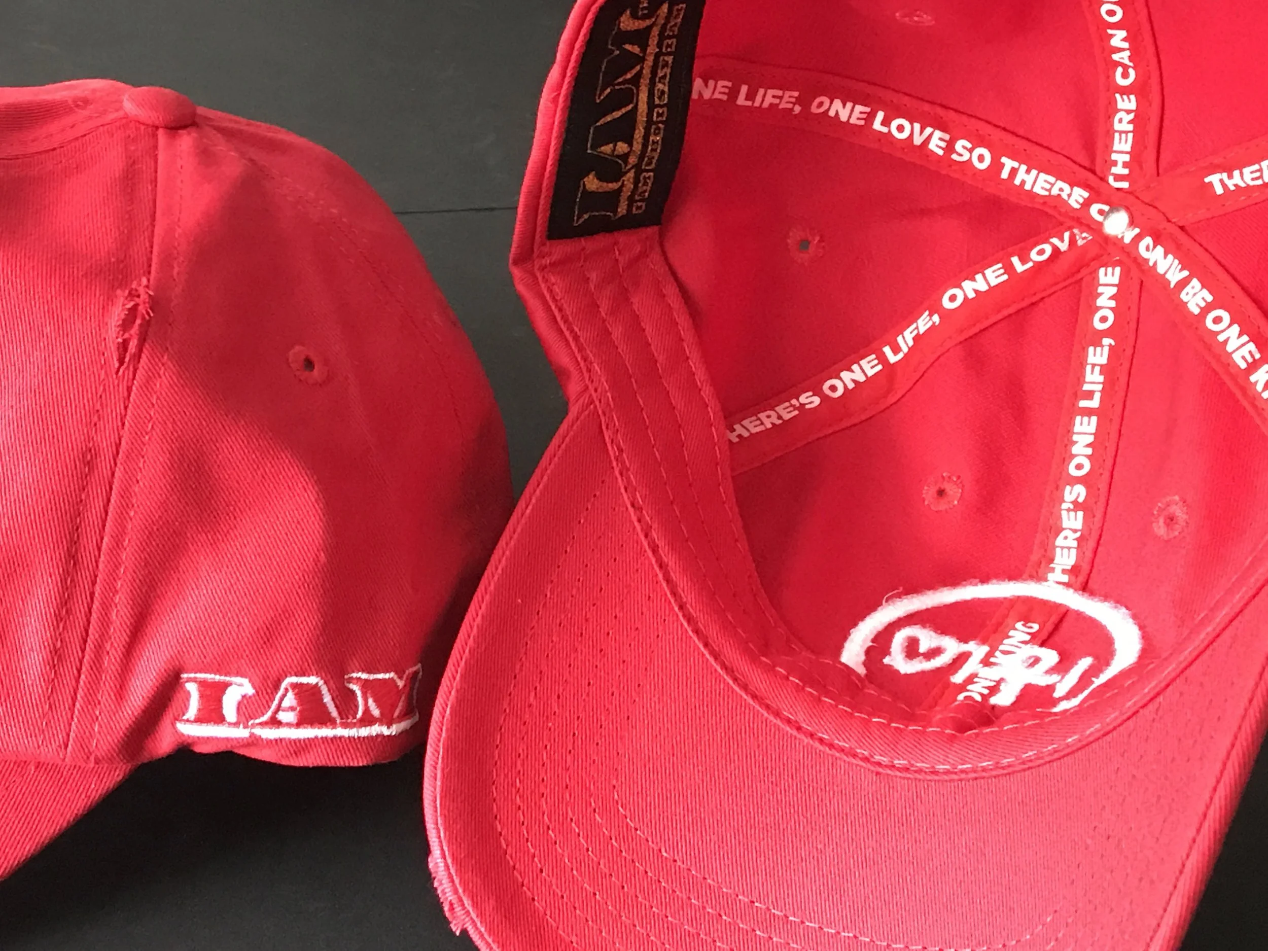 One Life One Love© Distressed Red Dadcaps 