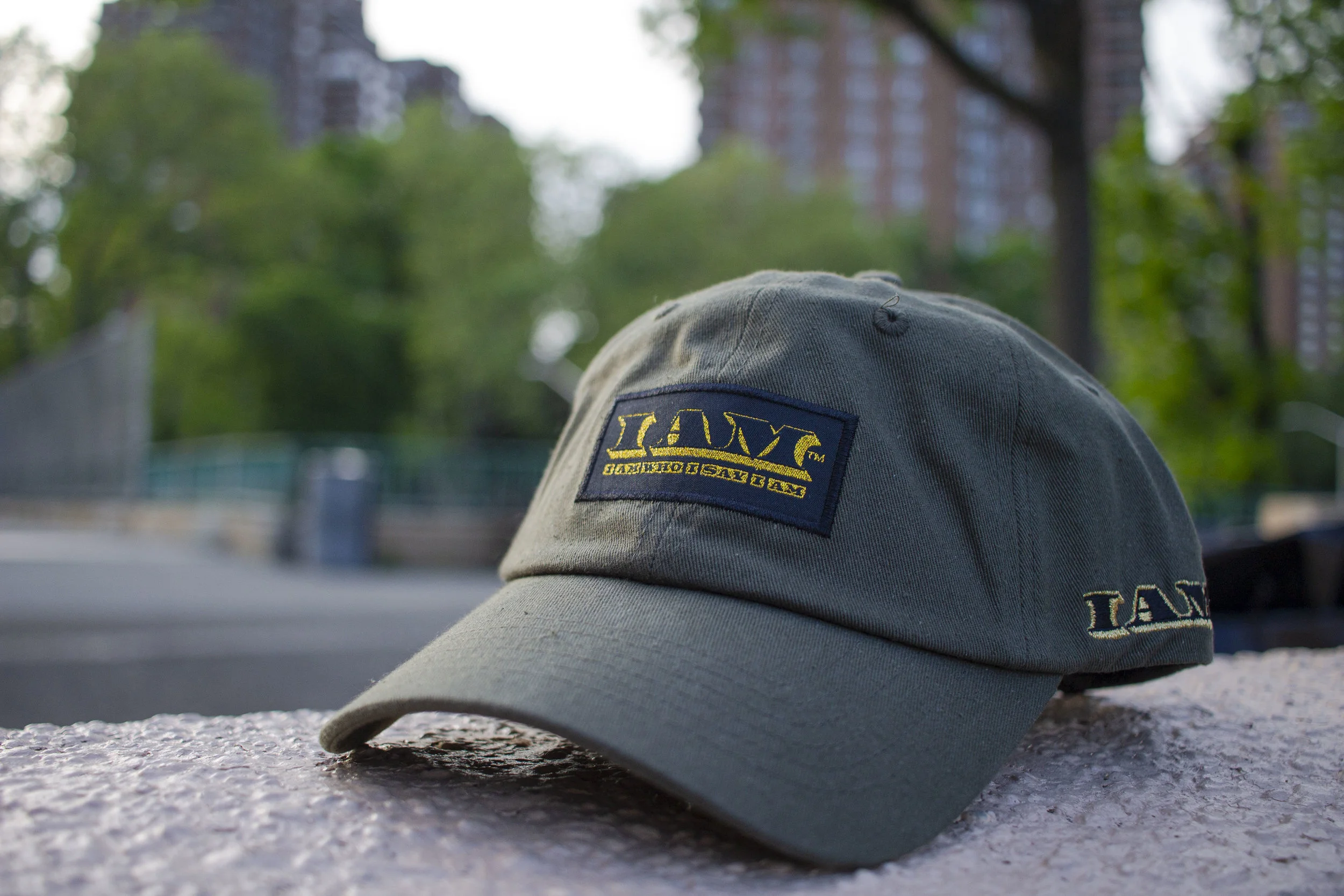  I AM WHO I SAY I AM® Olive Green Dadcap